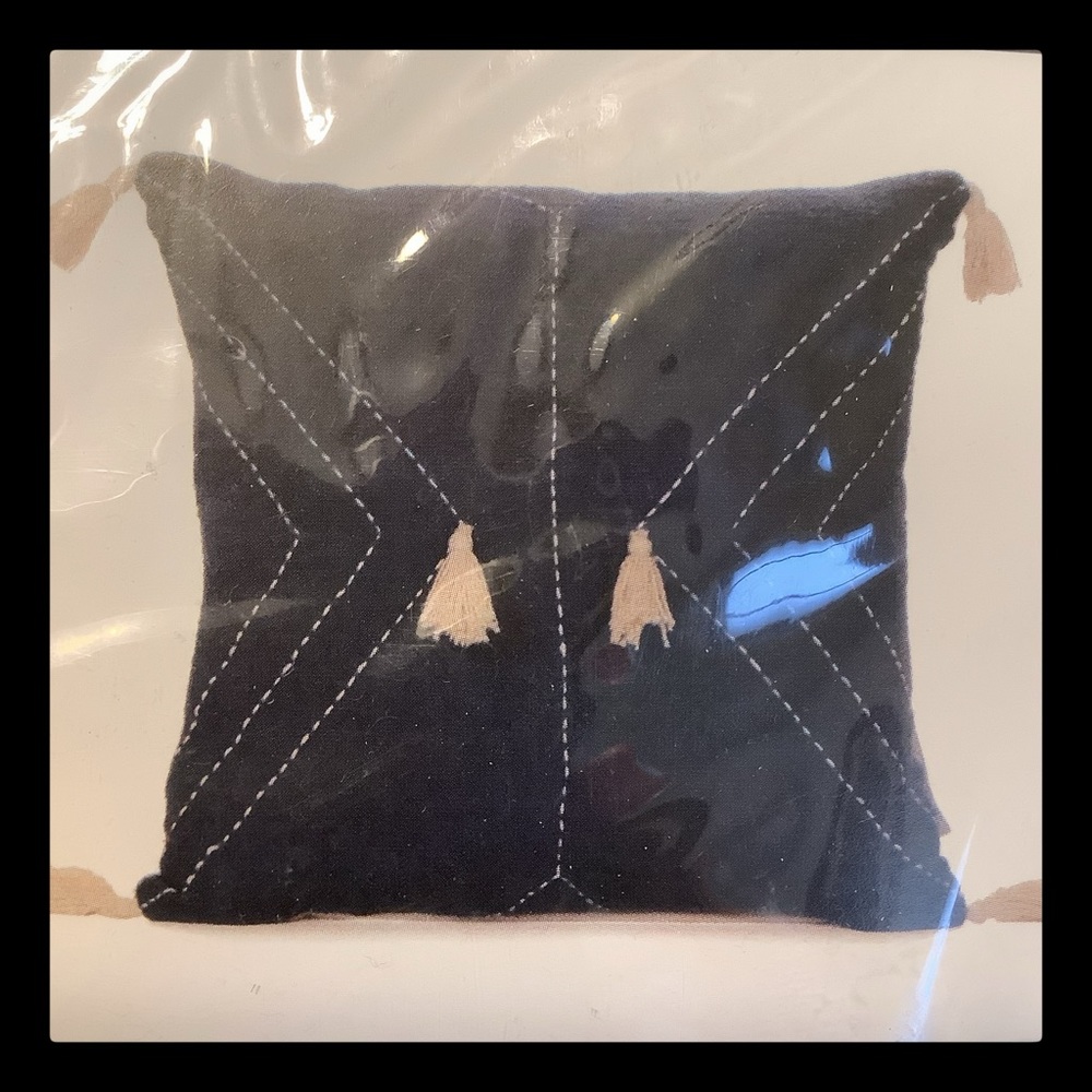 NWT pillow cover set of two